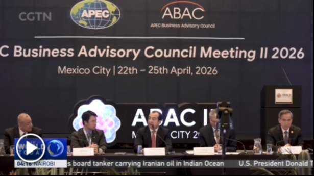 APEC Business Council: Asian Pacific business, political leaders gather in Mexico